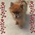 Cherie Swatek-Fedder's profile image