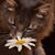 Nancy Cunningham's profile image