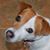 Renee S DeVore's profile image