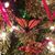 Cheryl Guterba Andrella's profile image