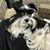 Lynn Reynolds Parham's profile image