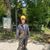 Dino Pedicini's profile image