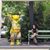 Bruni Purcell's profile image
