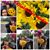 Silvia Carrizales's profile image