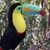 Paul Thomas Clements's profile image