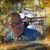 Ron A Martin's profile image