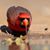 Ryan Michael's profile image