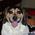 Becky Klop-Velting's profile image