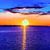Elana Sarlin's profile image