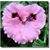 Lillian V Tallant's profile image