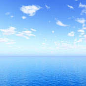 DinerDiva N.'s profile image