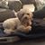 Geri Corrigan's profile image