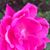 Dixie Lee Hedgecock's profile image