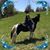 Becky Mahley Unger's profile image