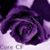 Kimberly Hearld Simmons's profile image