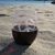 Gina Ramacci's profile image