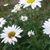 Elaine Taylor's profile image