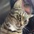 Mina Forsythe Rempe's profile image