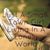 Shelley Winder Ainsworth's profile image