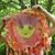 Cynthia E. Frantz's profile image