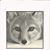Robin Hibbard's profile image
