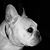 Roberta Reitz's profile image