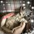 Michelle Troup's profile image
