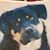 Sabine Johnson's profile image