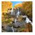 Dayana Ashwil-Parker's profile image