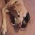 Steven Grossman's profile image