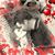 Shelly N Greg Penn's profile image