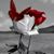 Michele Lafrese's profile image