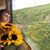 Debbie Miller's profile image