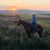 Jeanne Perlich White's profile image