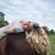 Madison Mckean's profile image