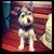 Vicki Moore Welch's profile image