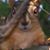 Tom Keele's profile image