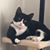 Carleen Mowrey's profile image