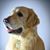 Vichy Velasquez's profile image
