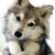 Karen Beck's profile image