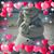 Marty Whaley's profile image