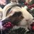 Michele Szozda Posten's profile image