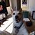 Jamie Stiglitz's profile image