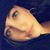 Shelby Rodriguez's profile image