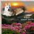 Nancy Powers's profile image