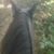 Julie Stewart Tucei's profile image