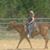 Nell Gilbert's profile image