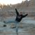 Bradley J. White's profile image