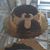 Bernadette Ryan's profile image
