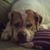 Elizabeth Bohnsack's profile image